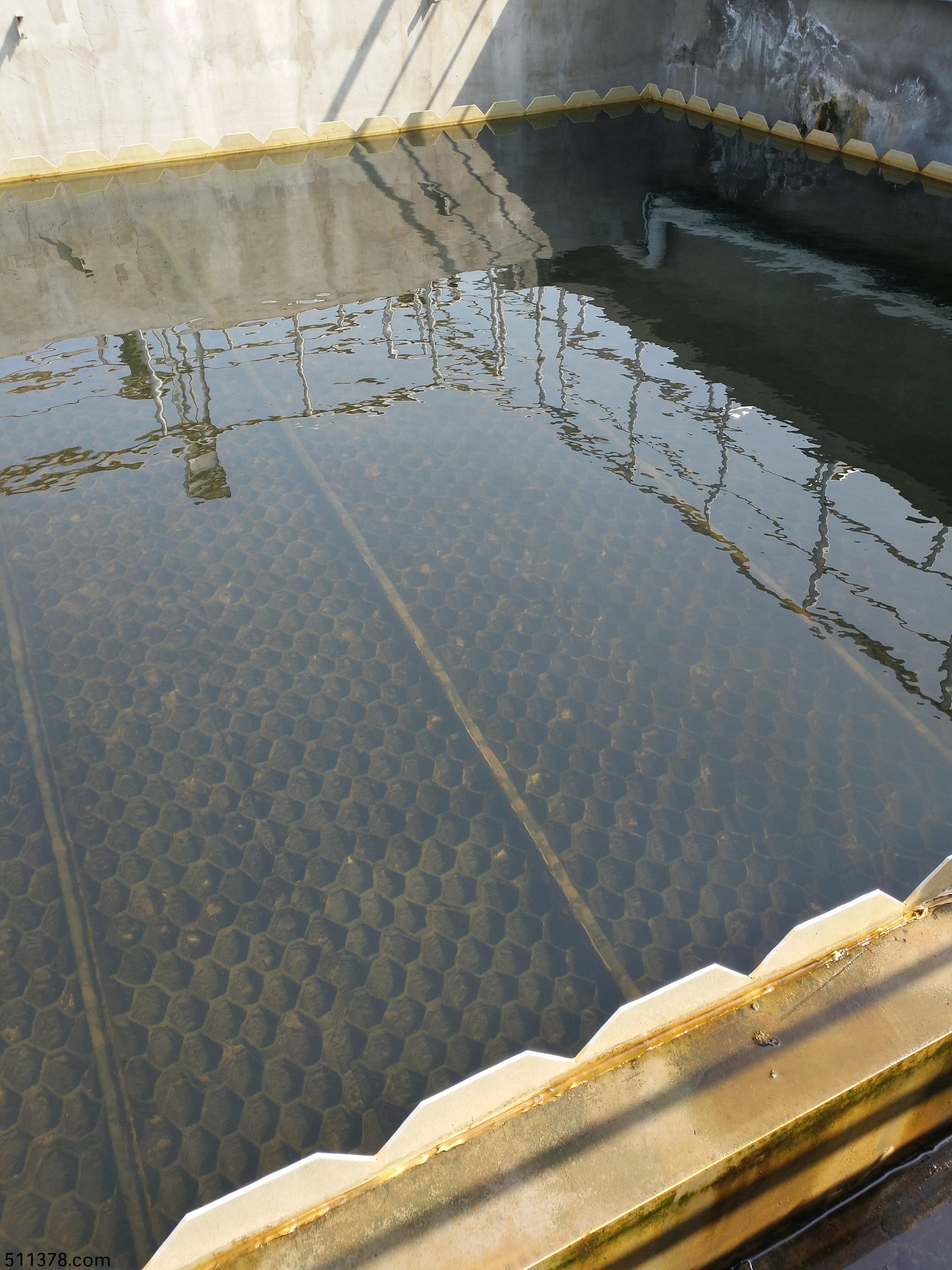 山東聊城阿華製藥股份(fen)有限(xian)公(gong)司(si)