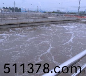 菌種銷(xiāo)售(shou)