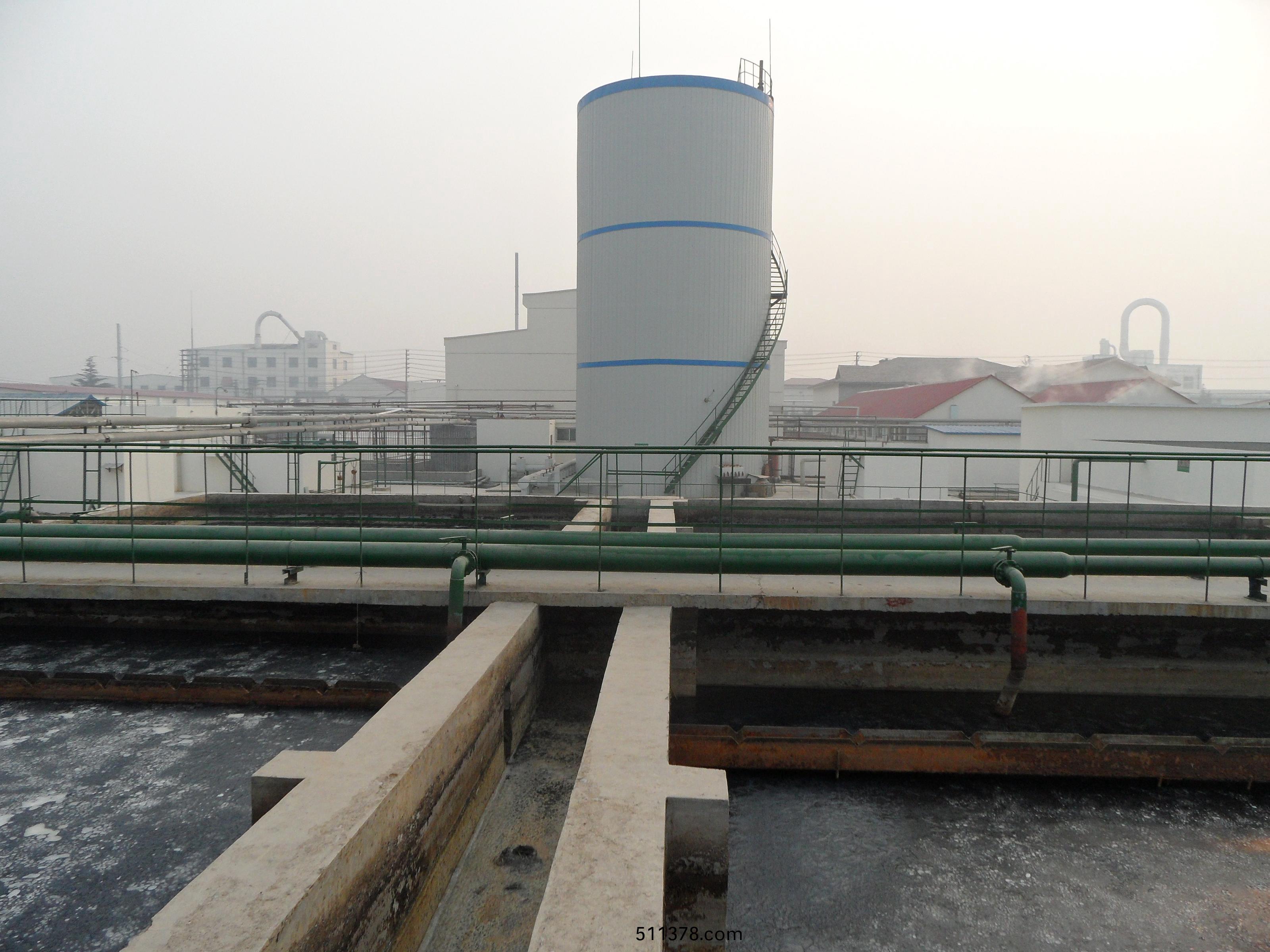 山東(dong)泗(si)水利(li)豐食(shi)品(pin)有限公(gong)司(si)