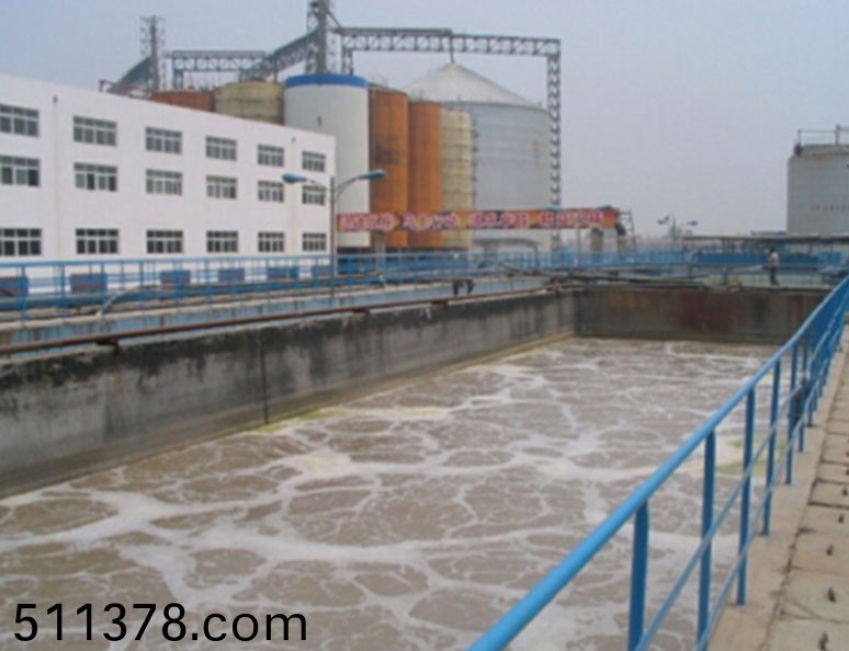 山東西(xi)王(wang)集糰(tuan)有(you)限公司