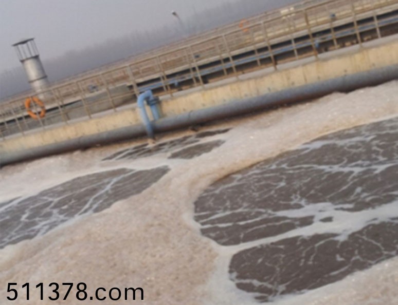 山(shan)東(dong)潔晶集(ji)糰(tuan)股(gu)份有(you)限公司