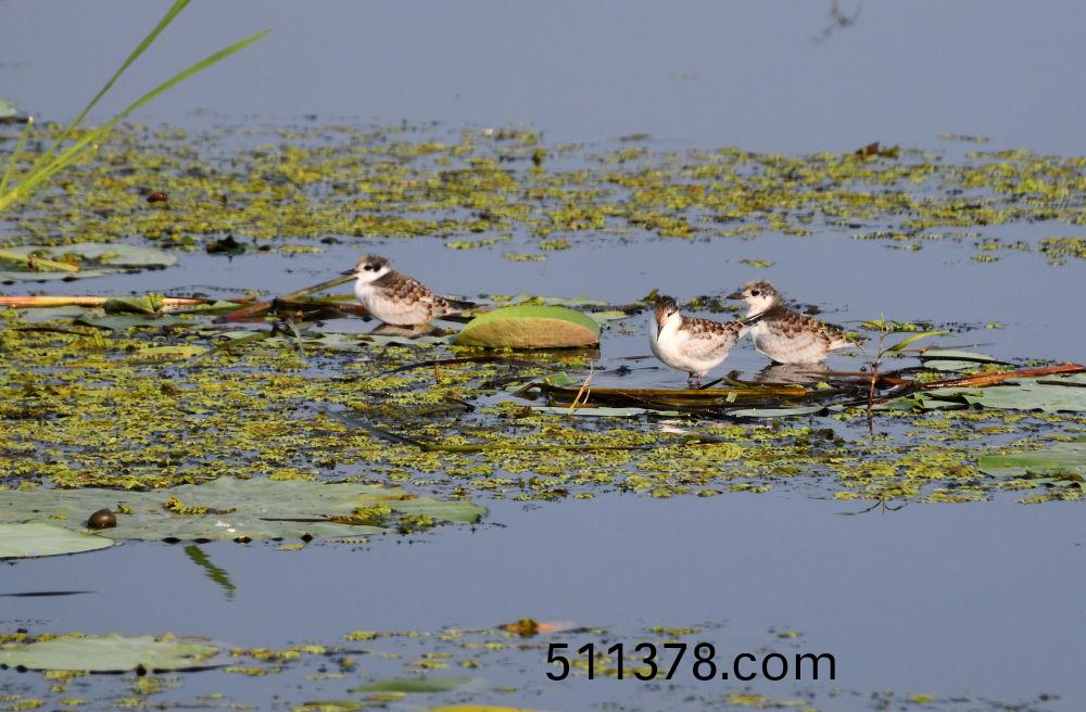 W020230828414871244303 W020230828414871244303