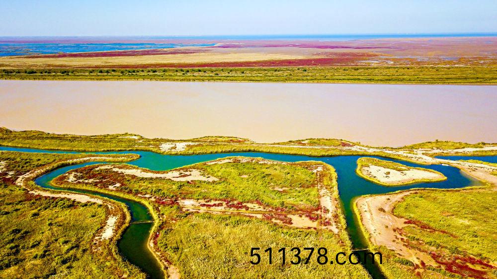 W020230828414871493354 W020230828414871493354