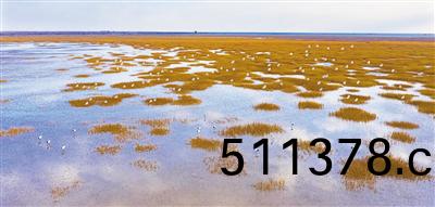 W020231010350023388257